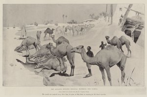 De Vooruitgang naar Dongola, de Kamelen Water Gevend door Cecil Charles Windsor Aldin